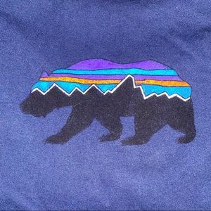 Men’s Patagonia Hoodie